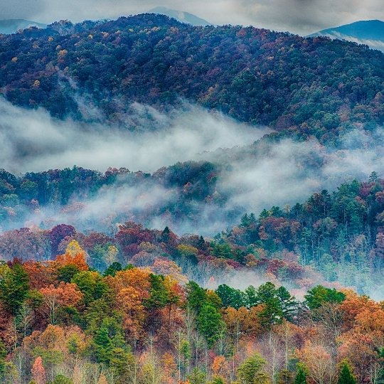 Great Smoky Mountains