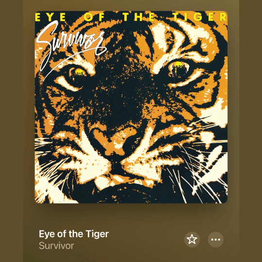 Eye of the Tiger
